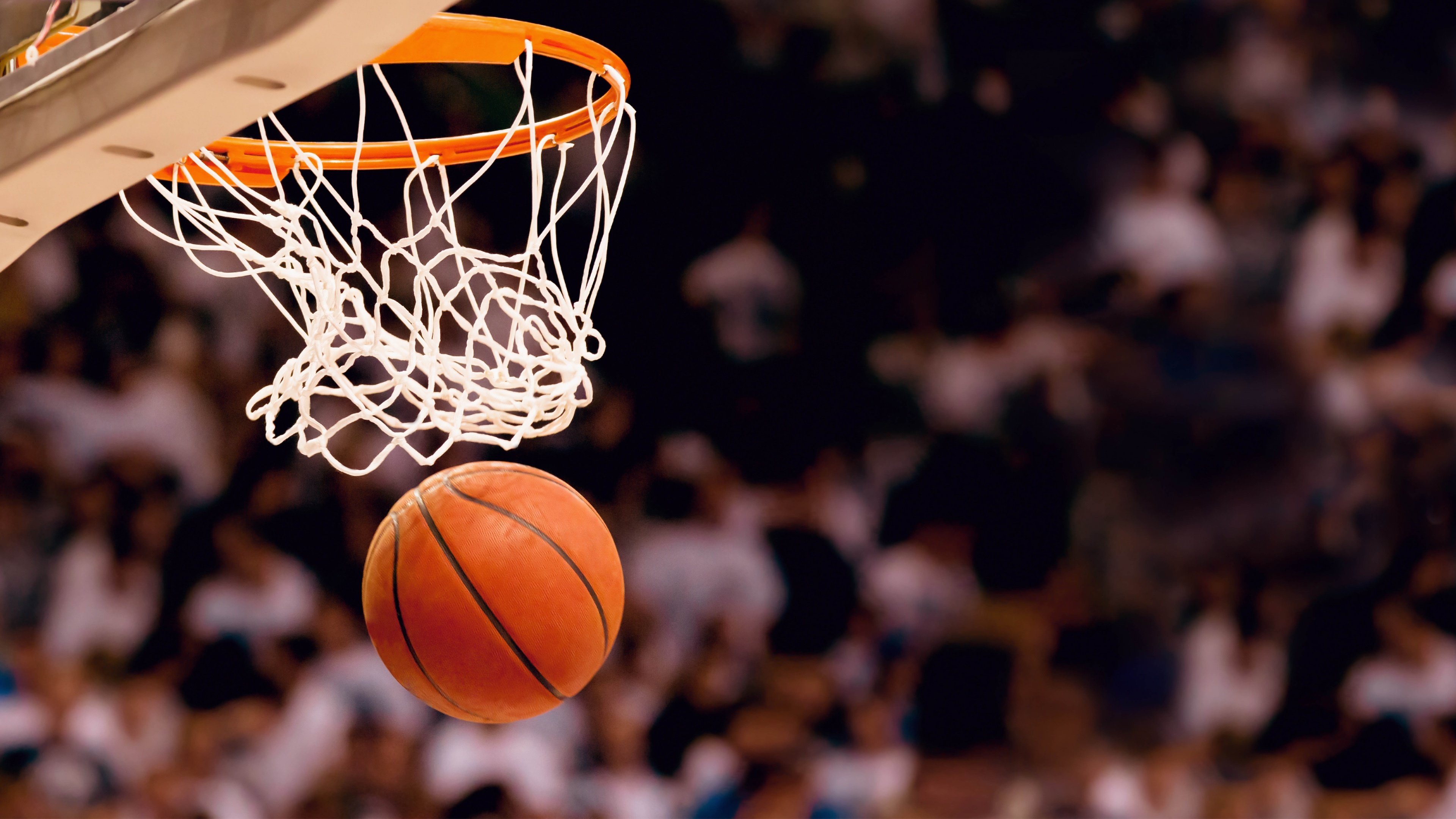 开云体育-跨联赛启示录，从德甲复兴到NBA争冠的战术共振
